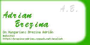adrian brezina business card