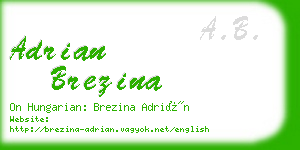 adrian brezina business card